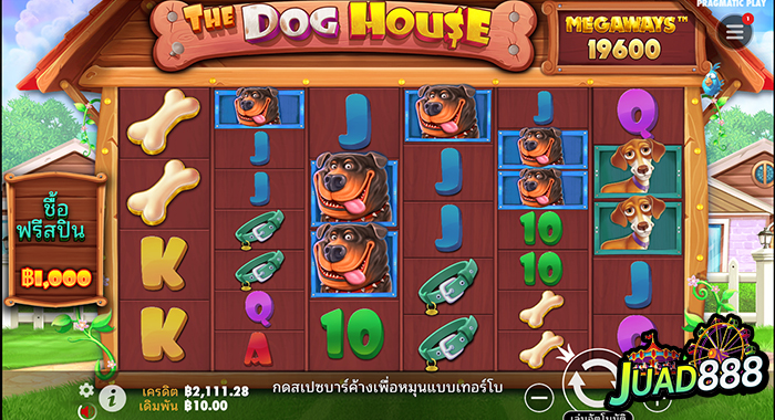 kubet1, kubet1 เว็บตรง, kubet1 คาสิโนออนไลน์, kubet1 บาคาร่า, kubet1 สล็อต, kubet1 แทงบอล, kubet1 หวย, kubet1 สมัคร, kubet1 ทางเข้า, kubet1 มือถือ, kubet1 ฝากถอนออโต้, kubet1 ไม่มีขั้นต่ำ, kubet1 เครดิตฟรี, kubet1 โปรโมชั่น, kubet1 เว็บใหญ่, kubet1 ไม่ผ่านเอเย่นต์, kubet1 เล่นได้จริง, kubet1 แตกง่าย, kubet1 คาสิโนสด, kubet1 ระบบเสถียร
